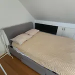 Spacious Terrace House Near Sydney Cbd